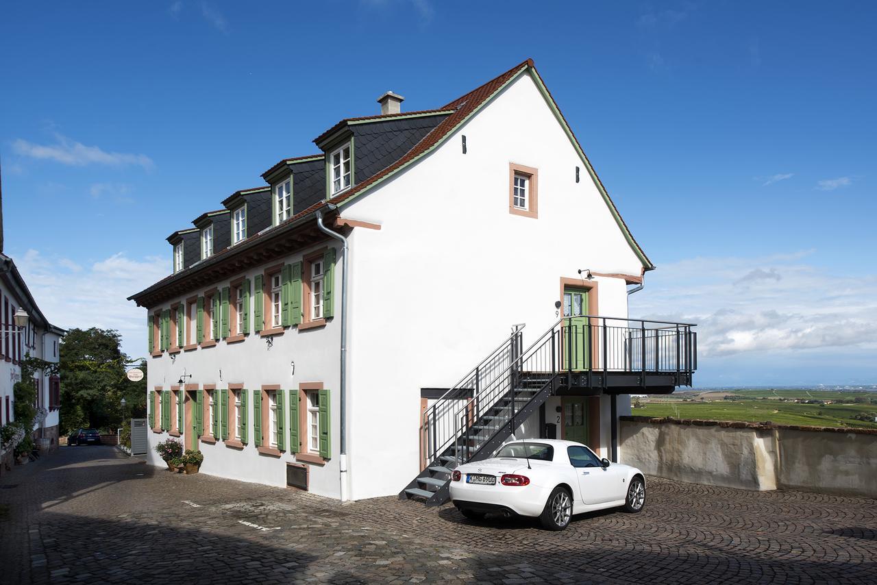 Burggarten Appartements Neuleiningen Exterior photo